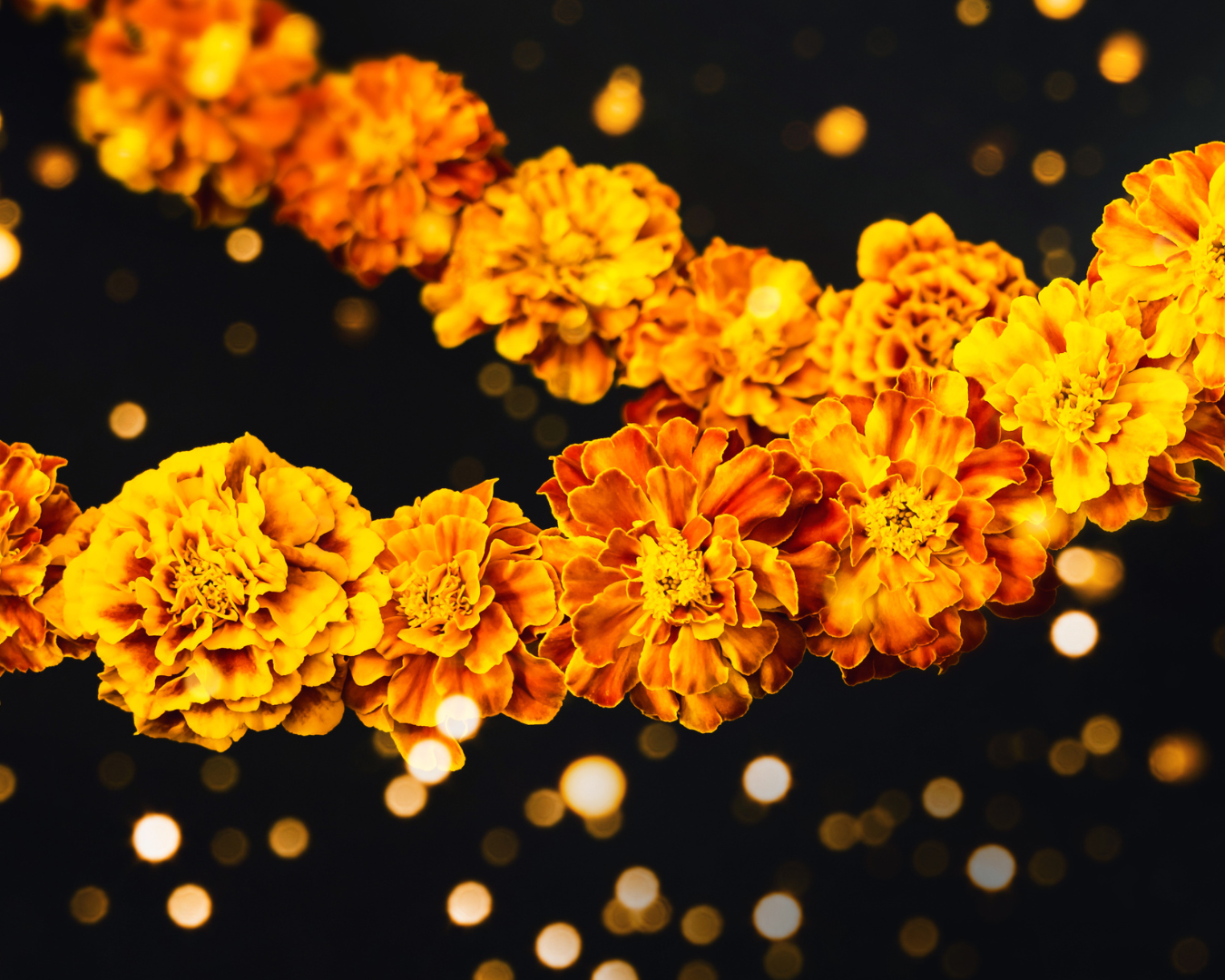 The Radiant Thread: Marigolds, Zapotecs, and Dia de los Muertos – MZ Made
