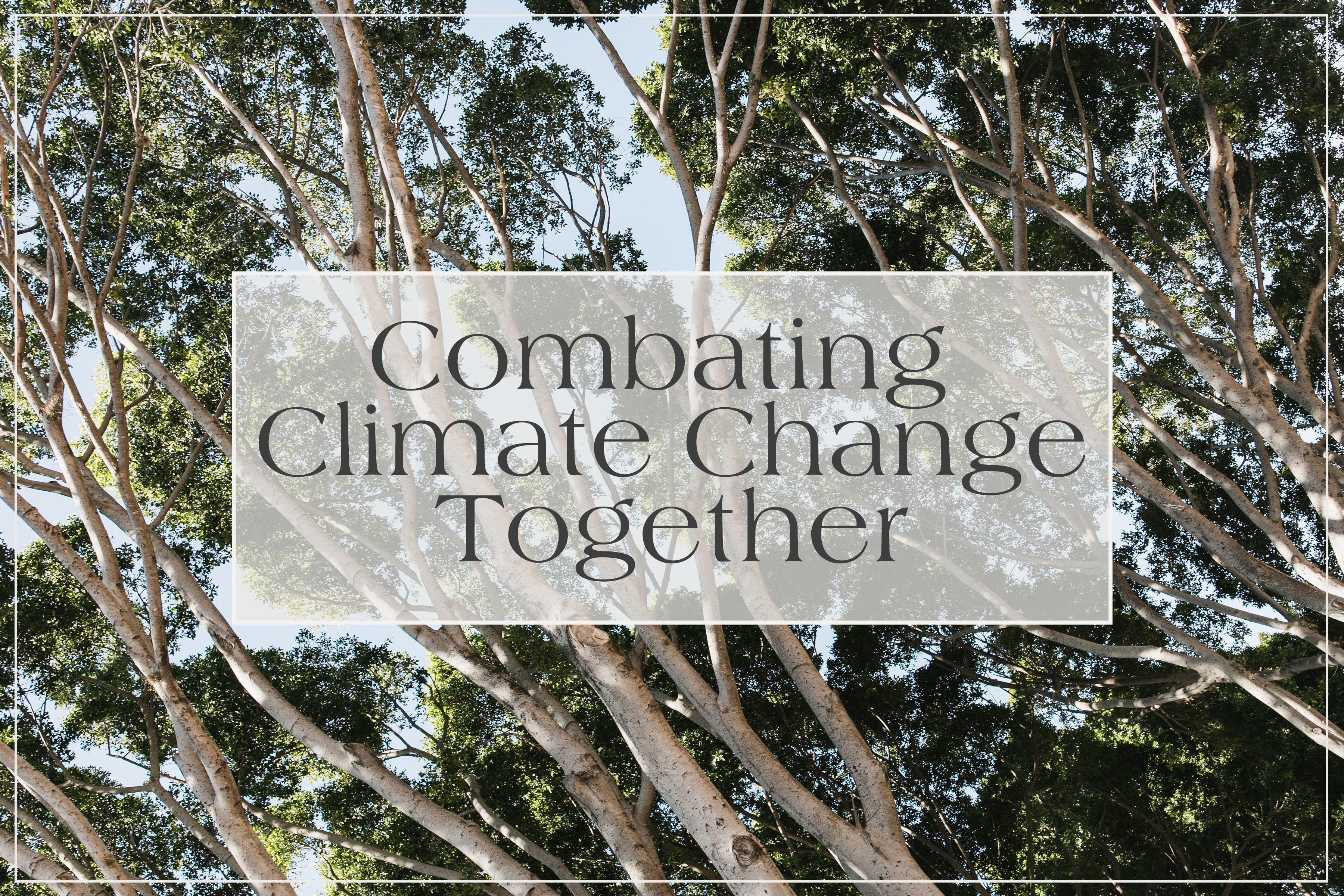 Combating Climate Change Together – MZ Made